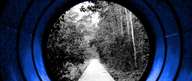 Event-Image for 'Ausstellung „Licht und Schatten“'