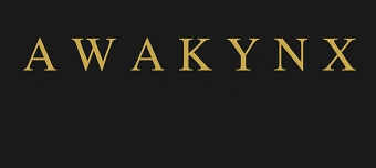 Event organiser of Spark by AwakynX