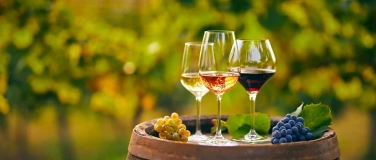 Event-Image for 'Weinabend im r&ouml;mischen Garten'