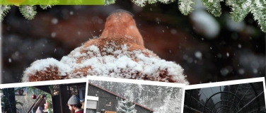 Event-Image for 'B&auml;renweihnacht'