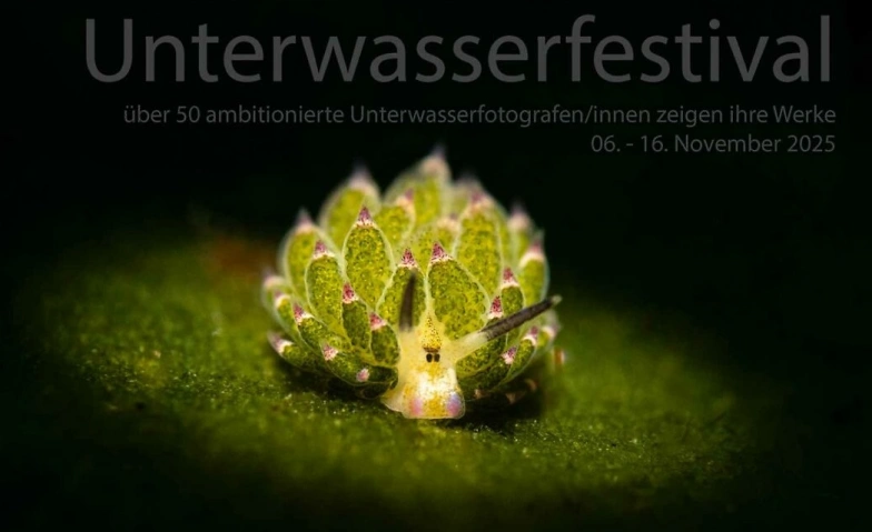 Event-Image for 'Unterwssserfotoausstellung  Unterwasserfestival.ch'
