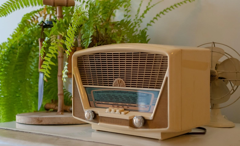 Event-Image for 'Repair-Caf&eacute; im Haus im Park'