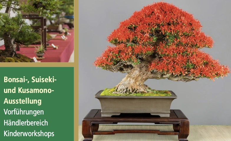 Event-Image for 'Bonsai Faszinationen-Deutschlands größte Bonsai-Ausstellung'