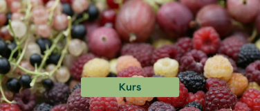 Event-Image for 'ProSpecieRara: Jahreszeitenkurs Beeren: Modul 1'
