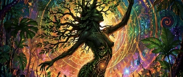 Event-Image for 'the conscious rave - be like a tree, dance with the plants'