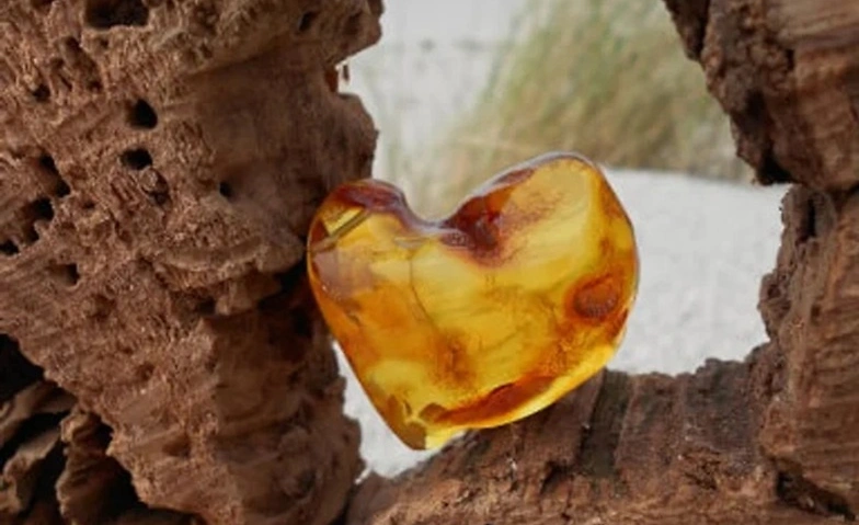 Event-Image for 'Bernstein schleifen'