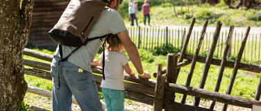 Event-Image for 'Oldtimer-Traktortreffen'