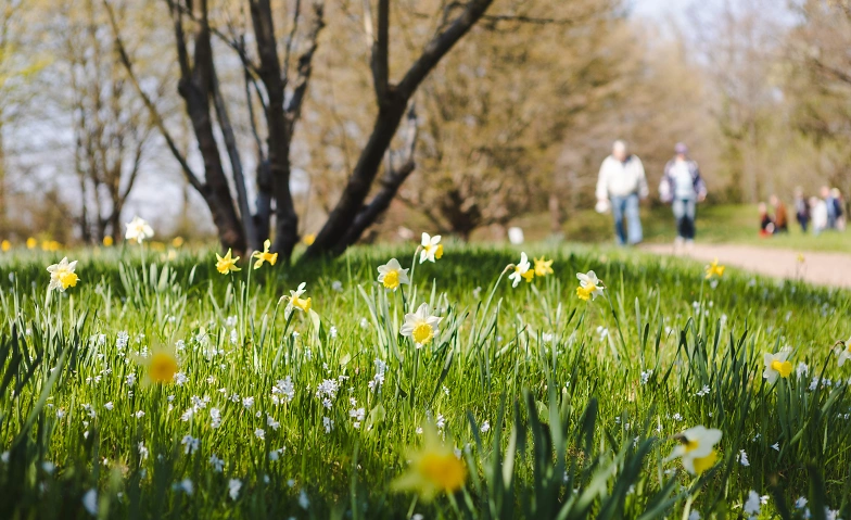 Kostenlose Führungen durch den Britzer Garten Führungen & Vorträge