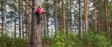 Event-Image for 'Forest Jump - Waldtheater für Kinder'