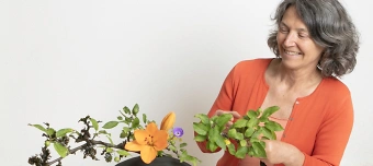 Organisateur de Ikebana - Crashkurs