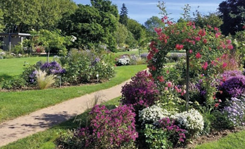 Event-Image for 'Herbst-Gartenmarkt im Rosengarten Zweibrücken'