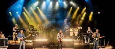 Event-Image for 'One Night of Dire Straits - Tribute Show'