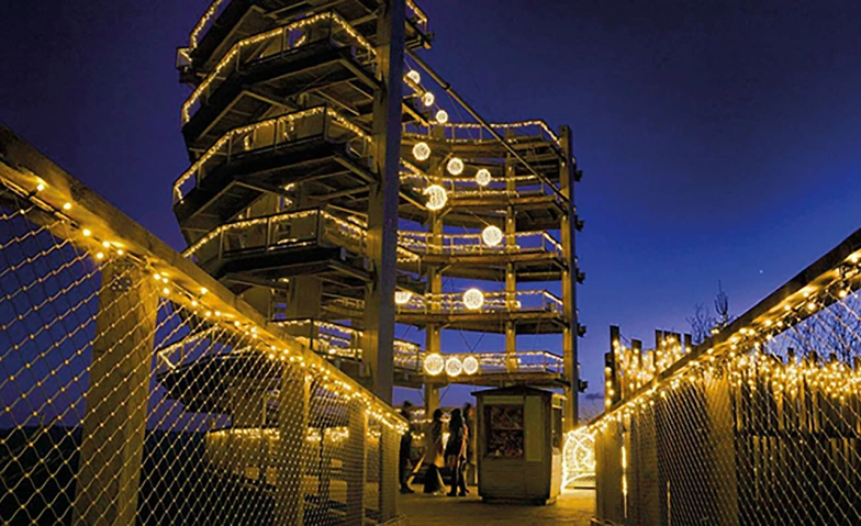 Event-Image for 'Magischer Lichterzauber an der Saarschleife'