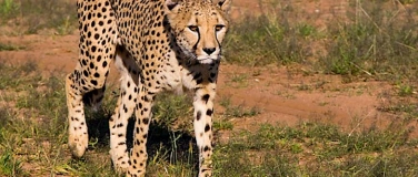 Event-Image for 'Traumhaftes Namibia - Live-Multivisionsshow'
