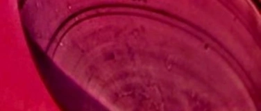 Event-Image for 'Oscar Wilde: Salome'