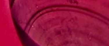 Event-Image for 'Arsen und Spitzenh&auml;ubchen - Szenische Lesung'