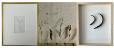 Event-Image for 'K&uuml;nstlergespr&auml;ch NATURGESTALTEN'