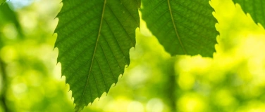 Event-Image for 'Natur Campus'