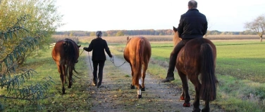 Event-Image for 'REISE ZU DIR - Eine Heldenreise mit Pferden'