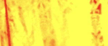 Event-Image for 'Der kleine Prinz - Szenische Lesung'