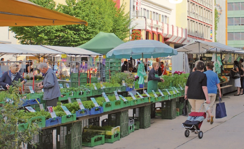 Event-Image for 'Markt Grenchen'