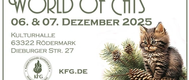 Event-Image for 'WORLD OF CATS - DIE Weihnachtsausstellung'