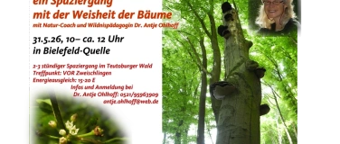 Event-Image for 'Baumgefl&uuml;ster -  ein Spaziergang  mit der Weisheit der B&auml;ume'