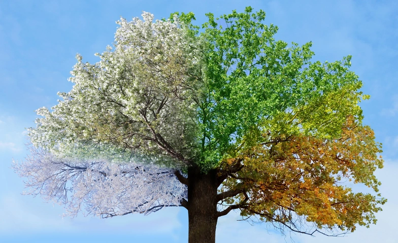 Event-Image for 'Ayurveda im Rhythmus der Jahreszeiten'