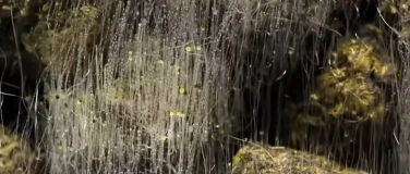 Event-Image for 'Kosmos Boden'