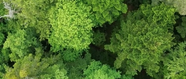 Event-Image for 'Unschätzbare Wälder'