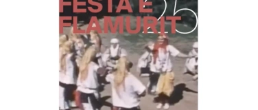 Event-Image for 'Festa e Flamurit'