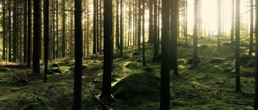 Event-Image for 'Stabilit&auml;t und Gelassenheit durch Achtsamkeit in der Natur'