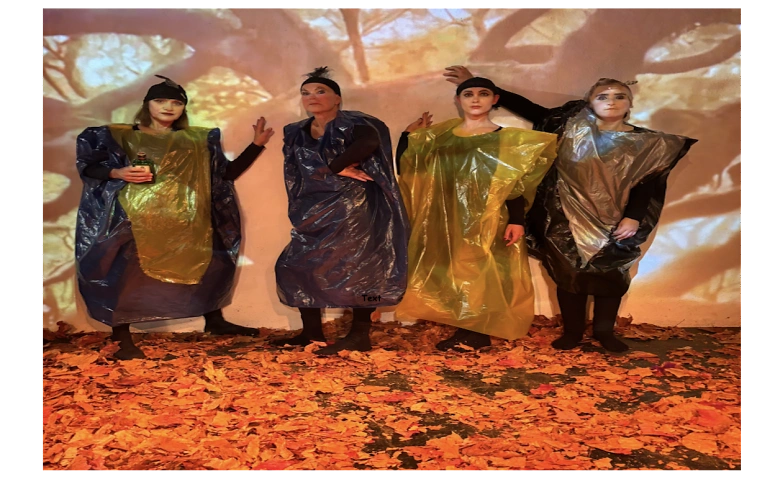 Event-Image for 'BOOKPINK - schr&auml;ge V&ouml;gel wilde Zeiten'