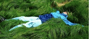 Event-Image for 'Entspannung, Hingabe & Vertrauen'