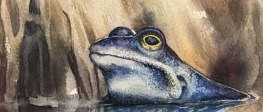 Event-Image for 'Everyday Nature  Aquarell-Ausstellung in Little Sister Gall'