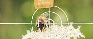 Event-Image for 'Bioland BW goes Muswiese - Artenvielfalt in Gefahr'