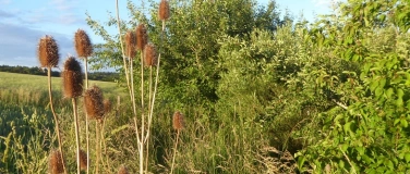 Event-Image for 'Exkursion Naturgarten: Vom Wiesengr&uuml;n zum Vielfaltsgarten'