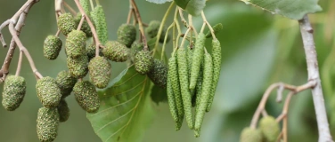 Event-Image for 'Kr&auml;utersalon Erle'