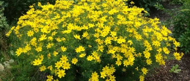 Event-Image for 'Trödelmarkt Iserlohn, Kaufland'