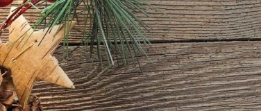 Event-Image for 'Adventsauftakt im Badeparadies Schwarzwald'