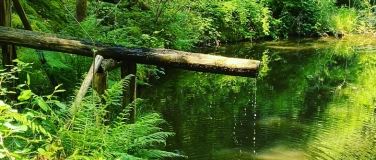 Event-Image for 'Meditative Wanderung zum Saustallbrünnchen im Odenwald'