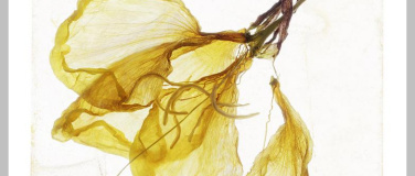 Event-Image for 'Brigitte Lustenberger. A Gaze of One&rsquo;s Own'