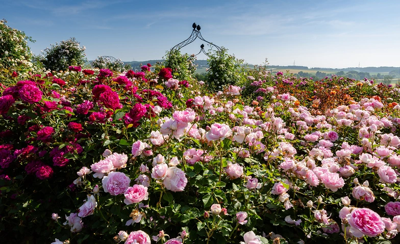 Event-Image for 'British Garden Days'