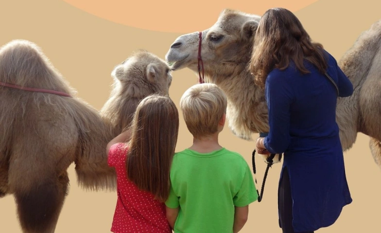 Event-Image for 'Kamel-Erlebnisstunde'