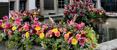 Event-Image for 'Brunnenführung am Maienzugvorabend - Treffpunkt Kirchplatz'