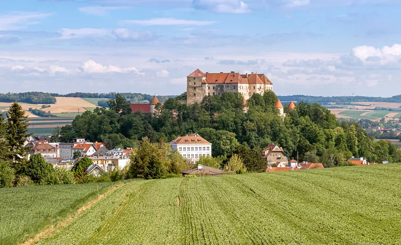Burg Neulengbach - Geschichtliche Führung Burg Neulengbach Tickets