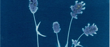 Event-Image for 'Blaumeier-Atelier : Workshop Cyanotypie'