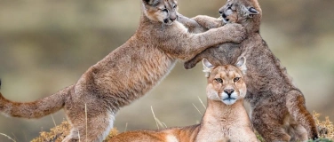 Event-Image for 'Explora präsentiert: Patagonien'