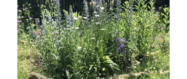 Event-Image for 'Caf&eacute; vegan'