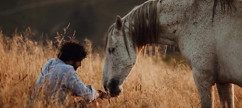 Event organiser of The sacred bond between horses & humanity